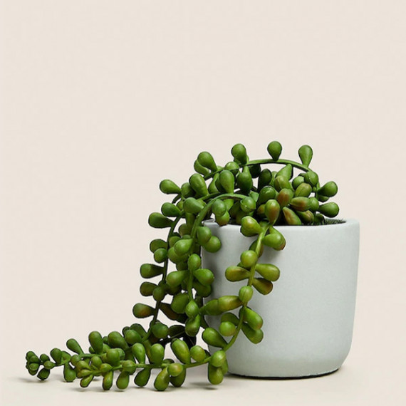 https://trendingfits.com/products/green-artificial-plant-with-pot